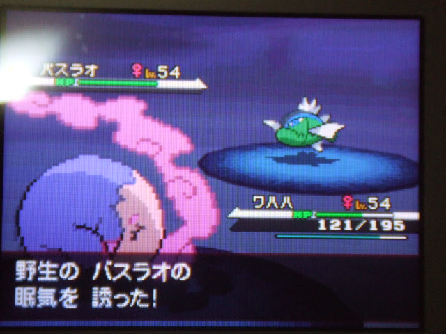 ポケモンｂｗ 経験値稼ぎ用にバスラオを捕まえる 日記 突撃ヘタレのゲームプレイ日記