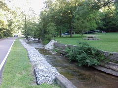 Roadside creek