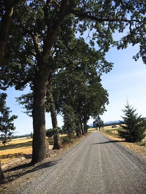 Vernonia Stub Singletrack Century-18.jpg