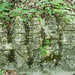 P6220070