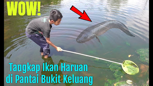Gambar