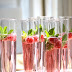 Christmas Champagne Drinks : Five Awesome Christmas Drinks to Get You Through Dinner ... / We did not find results for: