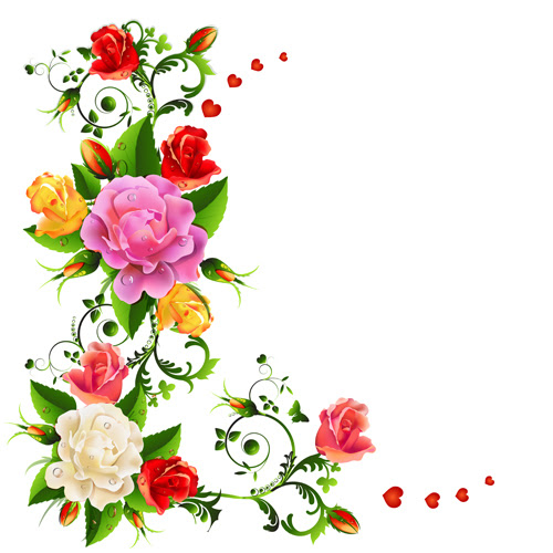 Narcissus Drawing Edelweiss Flower Jpg Stock - Edelweiss Clipart - Png  Download (#915297) - PinClipart