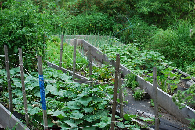 Vermont, Summer 2011