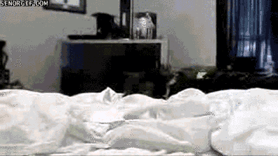 Giphy Embed