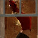 The Girl Next Door Streaming VF Gratuit