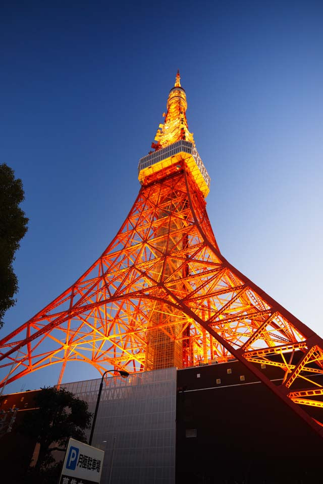 ゆんフリー写真素材集 No 7359 東京タワー 日本 東京