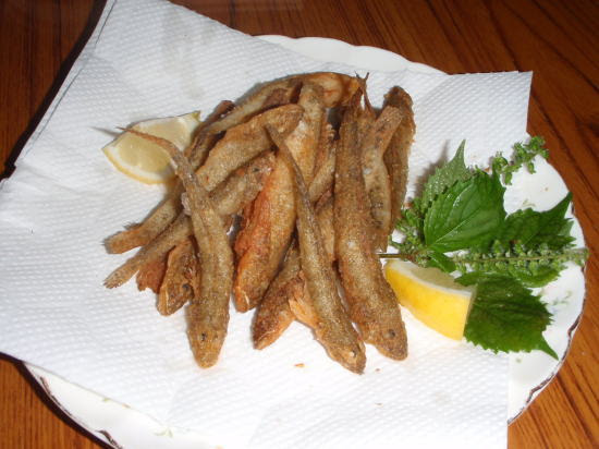 初心者向け 都内でハゼ釣りがおすすめ 低予算で美味しく食べられます Tsure Life 釣りライフ