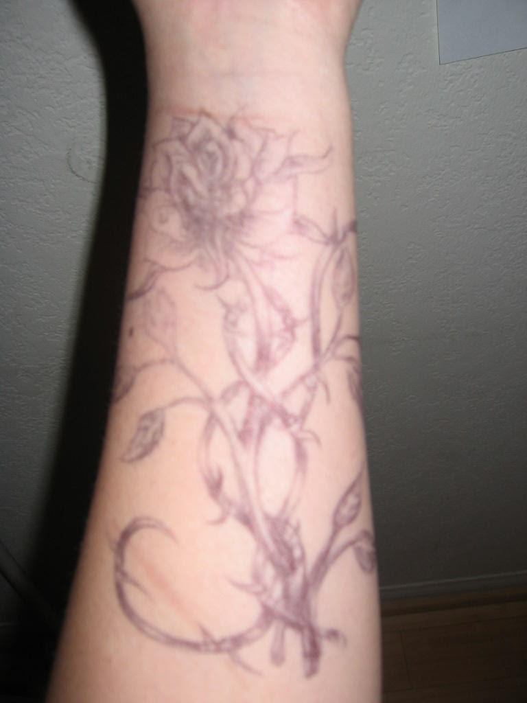 rose tattoo stencils