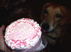 Sophie_Cake_12610d