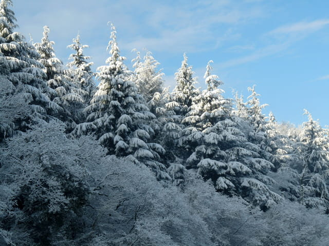 Paysage Hivernal Avec Un Chalet