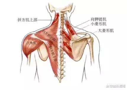 对不起 这样的迪丽热巴 并不性感 体育资讯 早游戏