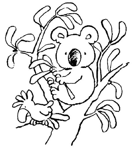  free printable koala coloring pages for kids
