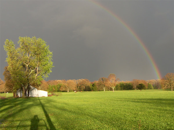 Primary And Secondary Rainbows Start by making two puffy clouds like you see here.