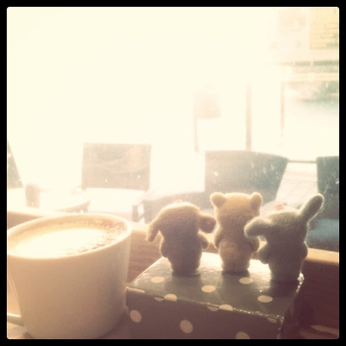 latte and bobbaloos