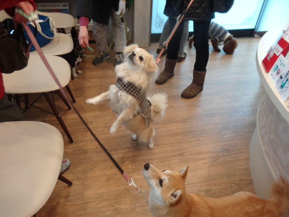 クリニックのブログ クリニックブログ