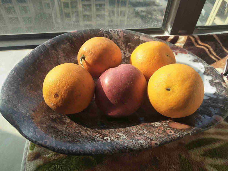 别看这种石头奇丑无比 它可是3亿年前的古生物化石 看点快报