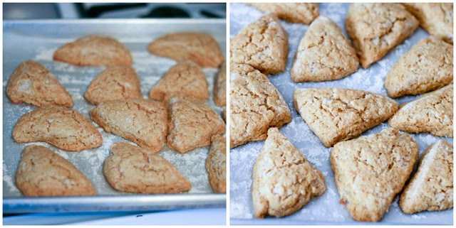 Starbuck's Pumpkin Scones collage 1