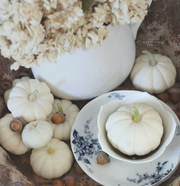 baby_boo_display_fall_neutrals
