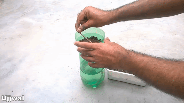 Trồng cây trong chai nhựa vô cùng đơn giản theo những bước này - Ảnh 6.