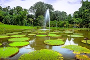 Baru 29+ Kebun Raya Bogor