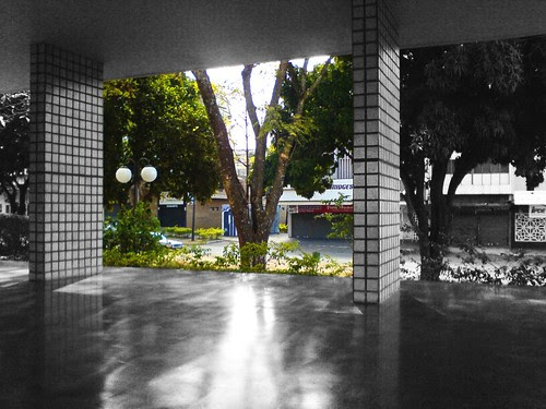 cutout_pilotis