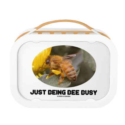 Just Being Bee Busy (Bee On Yellow Flower) Lunch Boxes