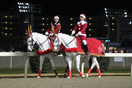 海外競馬に興味あるおれが選ぶかっこいい馬名の外国馬 嵐猫