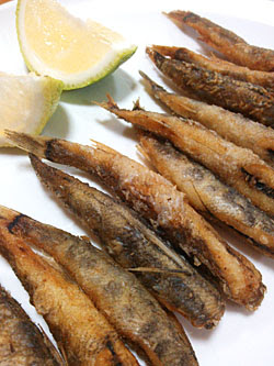 メヒカリ干物 目光 めひかり丸干し干物 を通販 お取り寄せ 創業八十余年の販売実績 高知の海産物専門店 中田遊亀商店