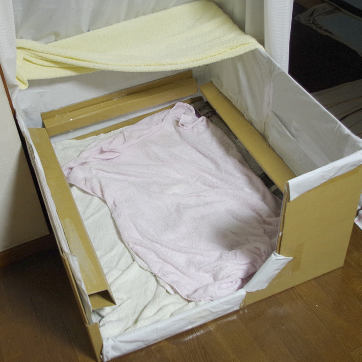 産箱改 ぽんずブログ シーズー親子ぽんずとかぼすのほんわか日記