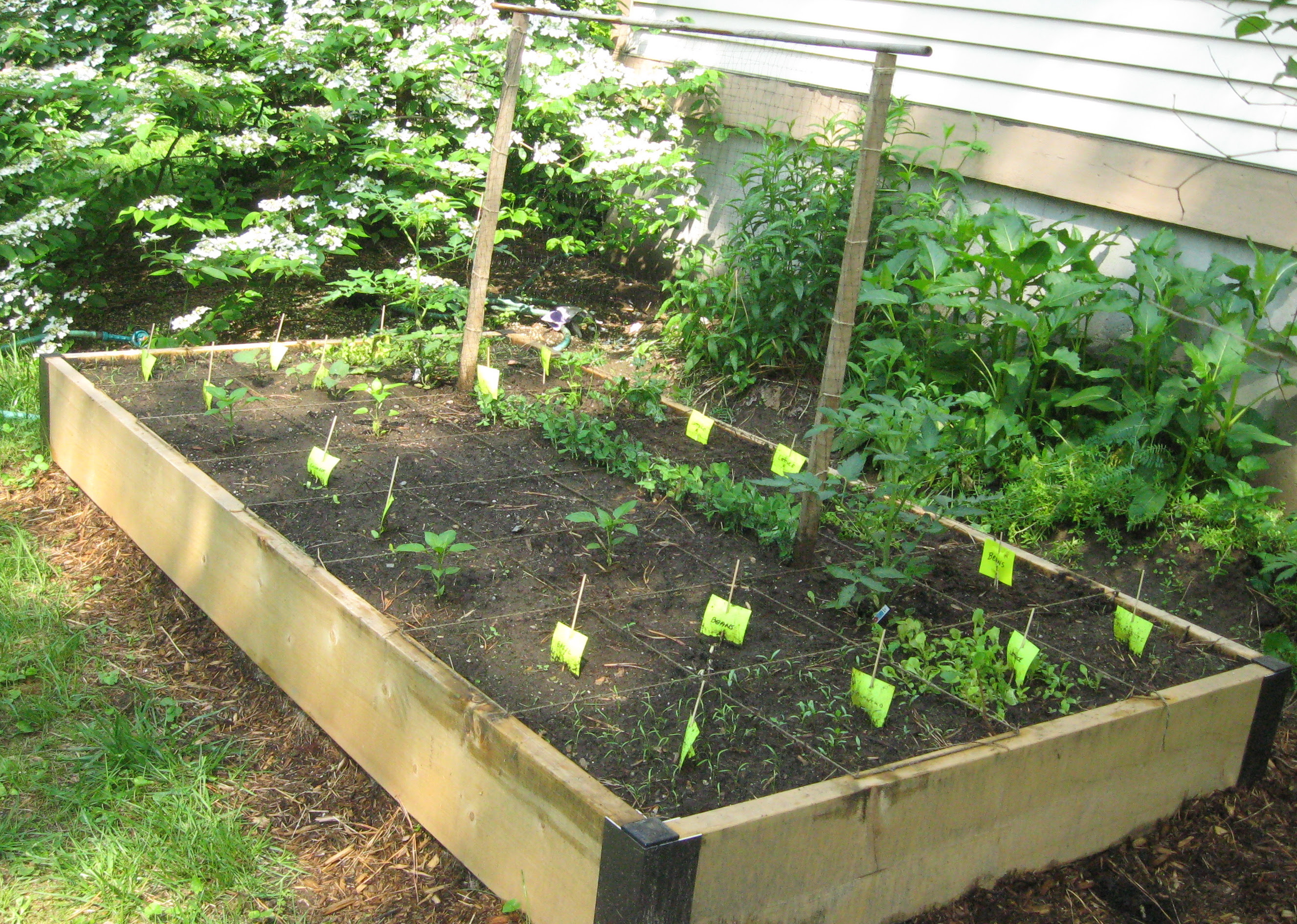 Raised Vegetable Garden Box