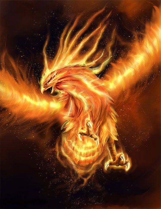 Legend and Mythological Story of the Phoenix 