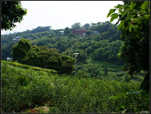 DSC05355