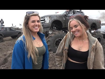 8+ Plant Bamboo Article