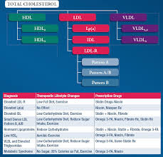 cholesterol chart