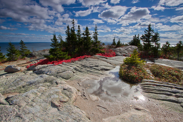 reds decorate evergreens high on Gorham Mountain