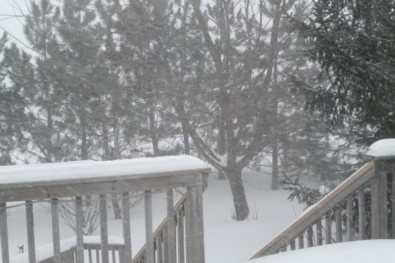 weather,snow
