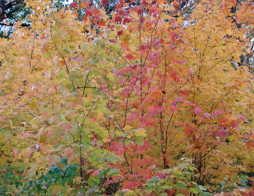 october 06 363