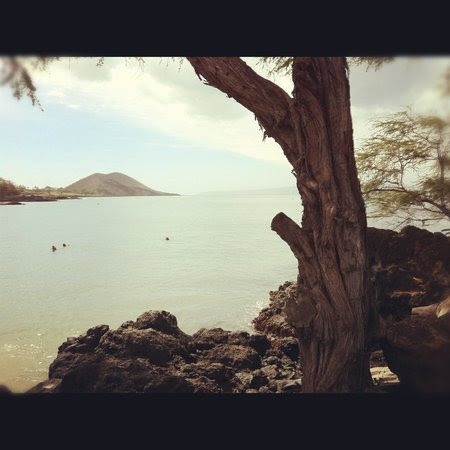 View of snorkeler's enjoying Makena Landing