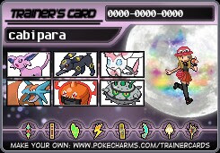 ポケモンoras 月陽に照らされし姫君達 最高85 S12 冴えないパーティの育てかた