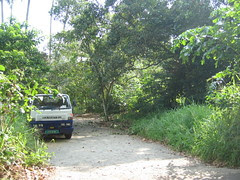 Bin Kiang 2005