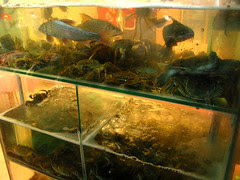 Assorted Seafood in Shiquan St