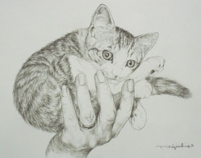 鉛筆でリアルに猫を描きました 藤重日生の 猫絵 と 猫絵手紙