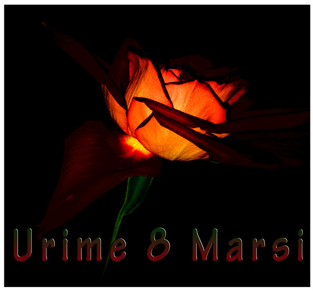 Urime 8 Marsi | Flickr - Photo Sharing!