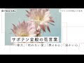 サボテン 花言葉 英語 227995-サボテン 花言葉 英語