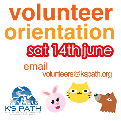 volunteer