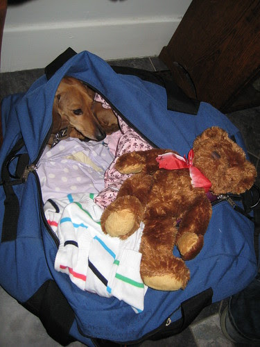 Flynn Sleepover Stowaway