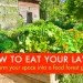 How to Eat Your Lawn