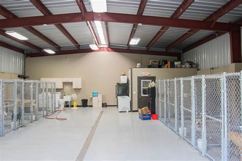 Here's how to clean stainless steel refrigerators. dog kennel buildings are the ideal low cost, low