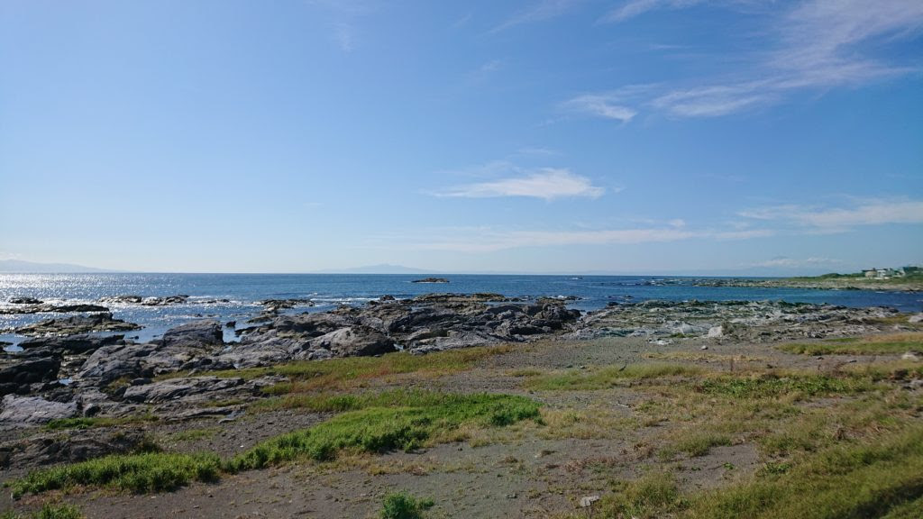 磯遊び 千葉県 伊戸 子供が喜ぶ磯遊び 行くならここがおすすめ 海パンフィッシャー